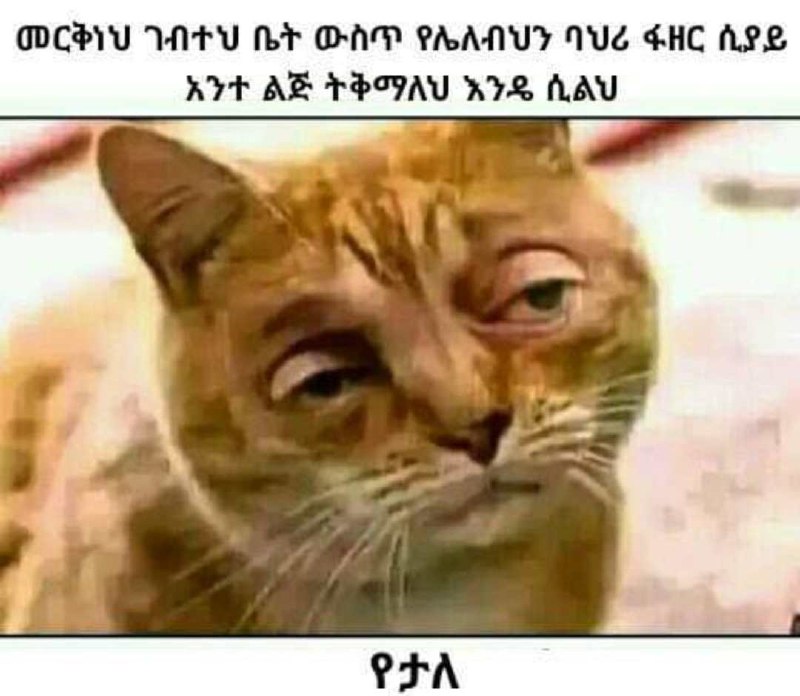 መርቅነህ ገብተህ ቤት ውስጥ የሌለብህን ባህሪ ፋዘር ሲያይ አንተ ልጅ ትቅማለህ እንዴ ሲልህ የታለ 